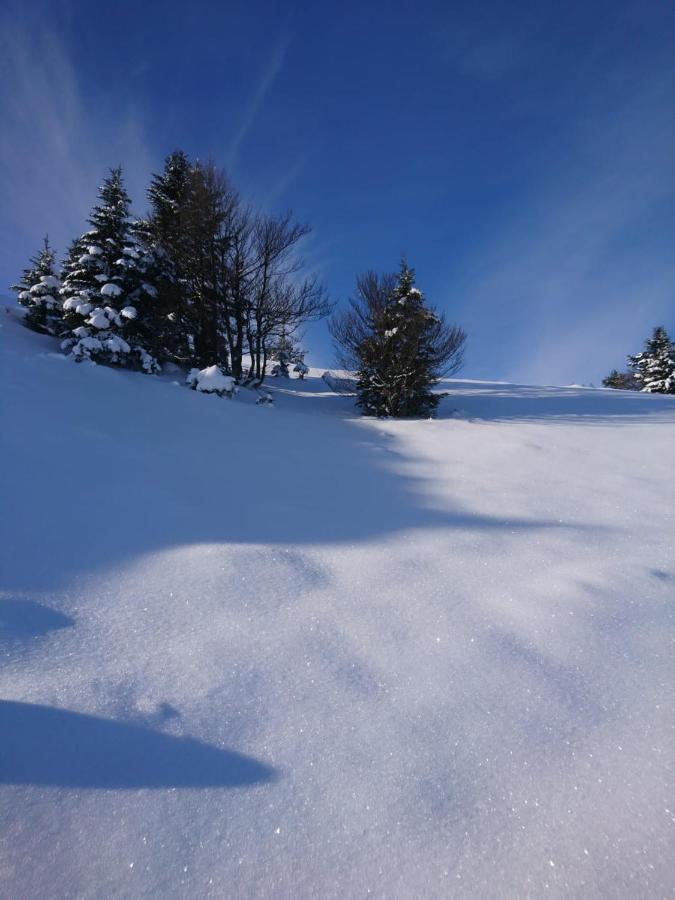 Haus mit 3 Schlafzimmern