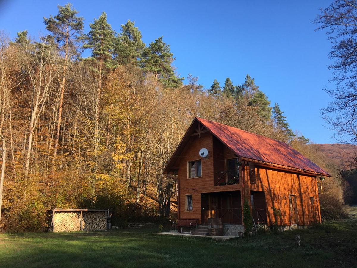 B&B Tur'ya Pasika - Дом у озера - Bed and Breakfast Tur'ya Pasika