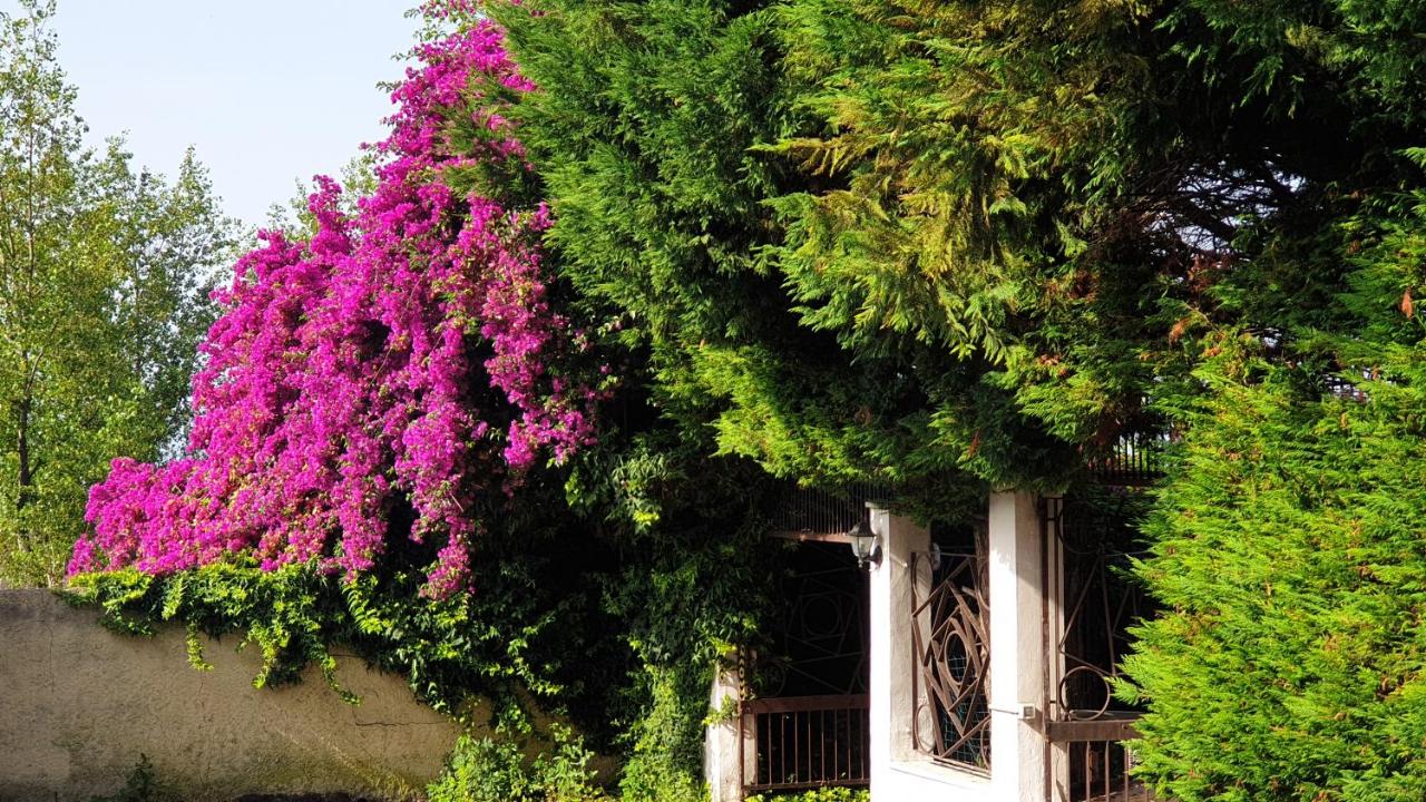 Garden House Pompei Vesuvio - B&B