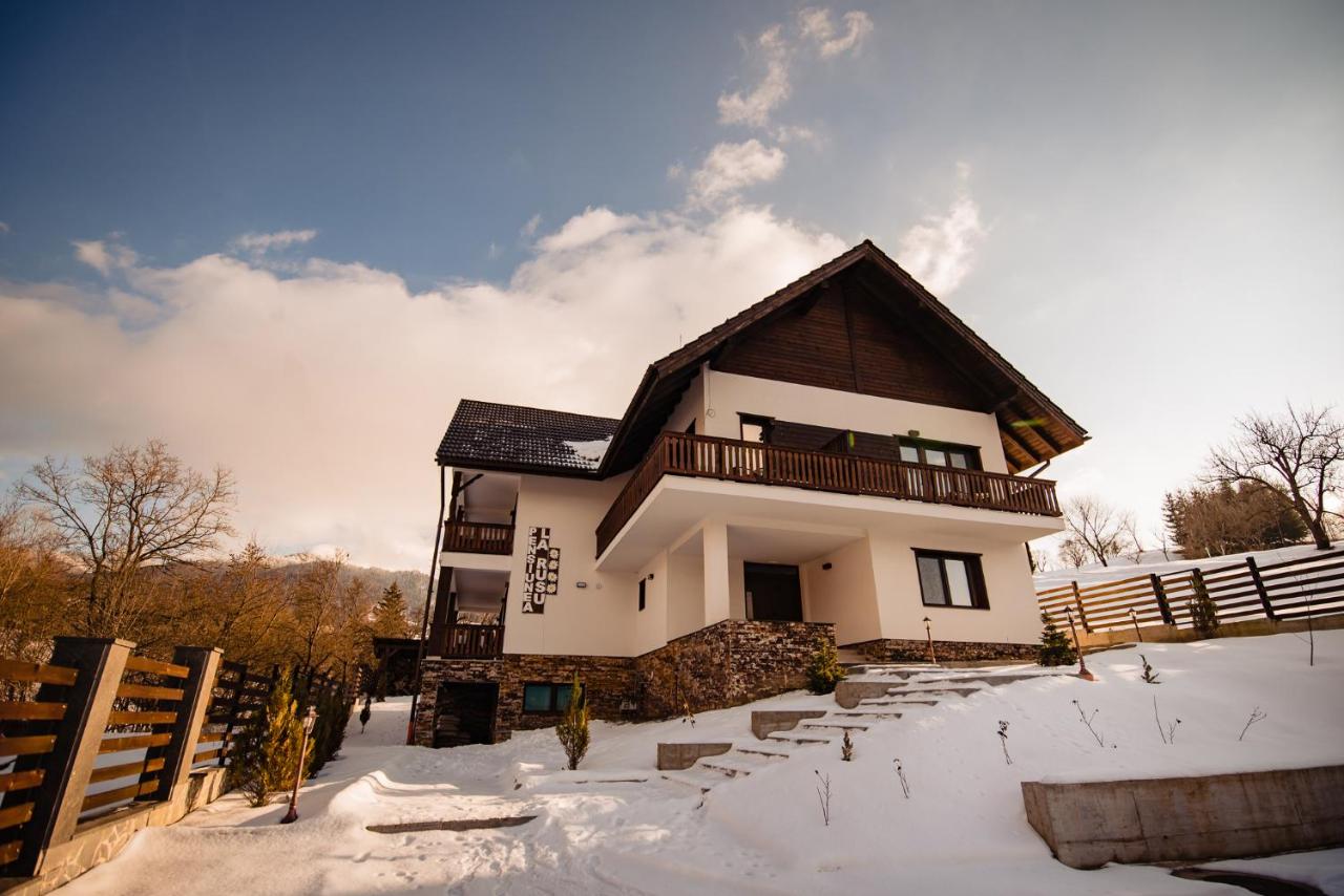 Pensiunea La Rusu - Bed and Breakfast