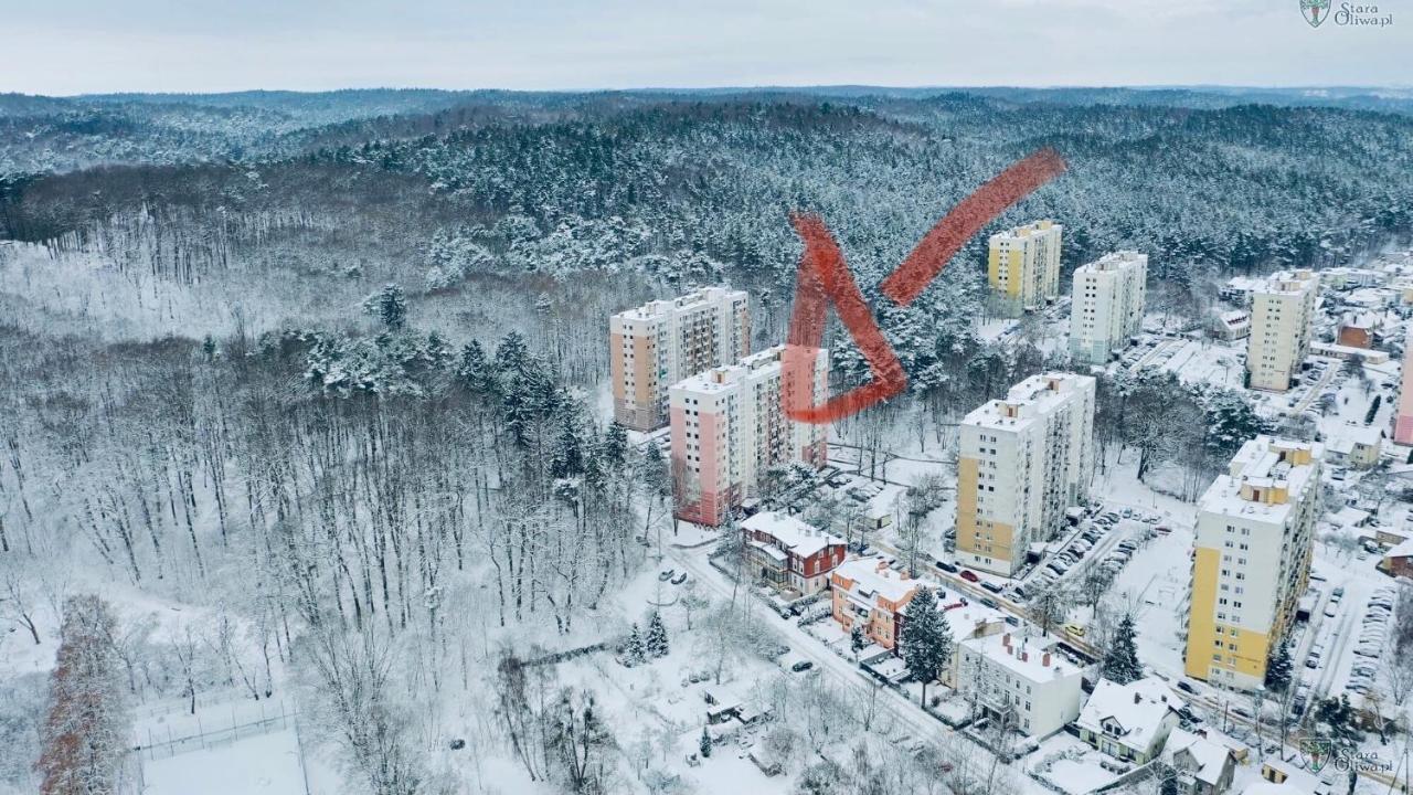 Leśny zakątek - B&B