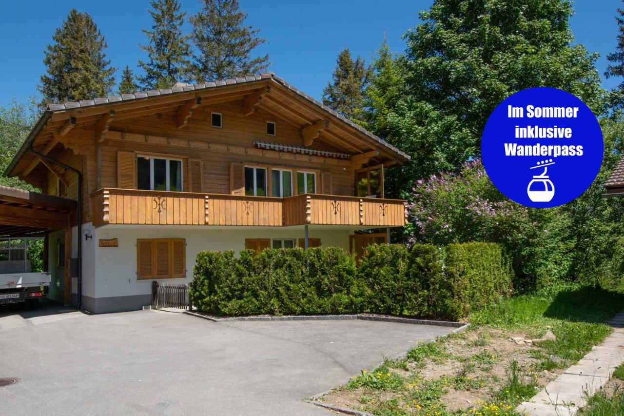 Chalet Apollo - B&B