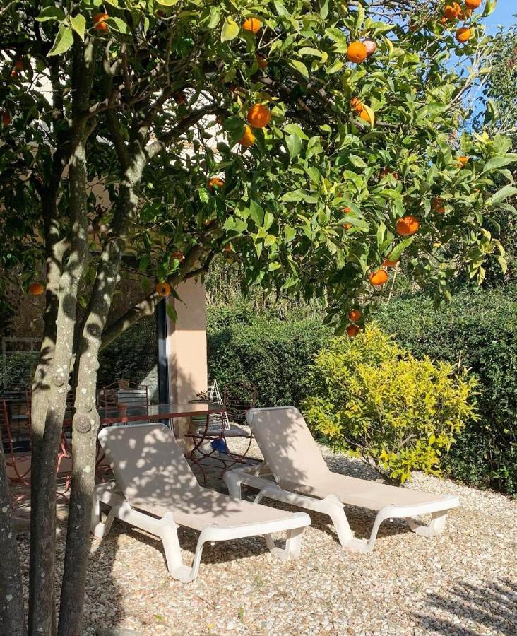 Les Sarments - B&B Le Lavandou