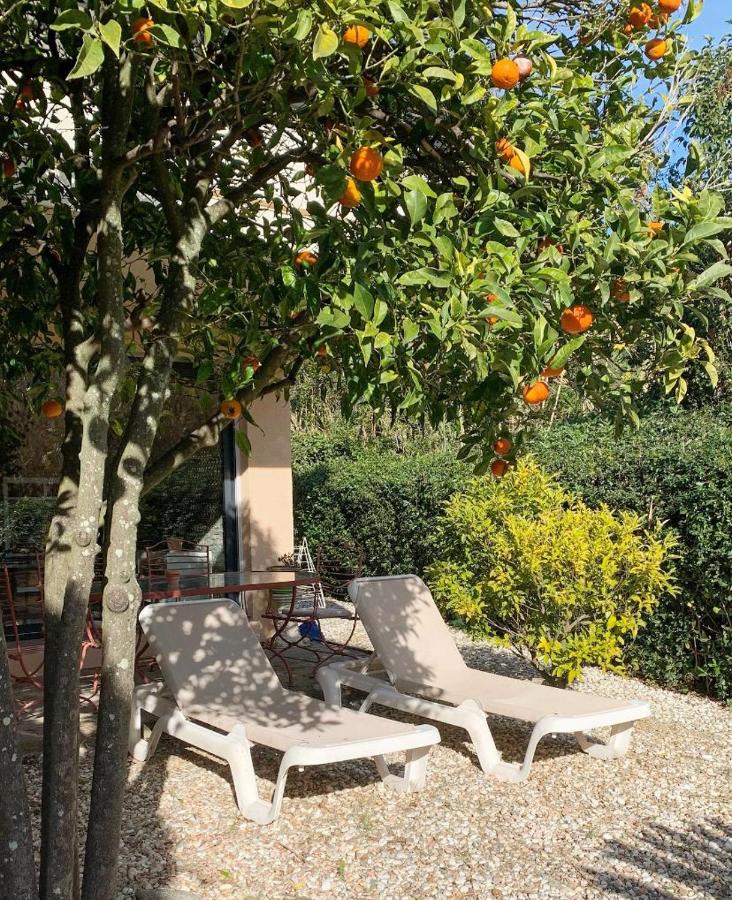 B&B Le Lavandou - Les Sarments - Bed and Breakfast Le Lavandou