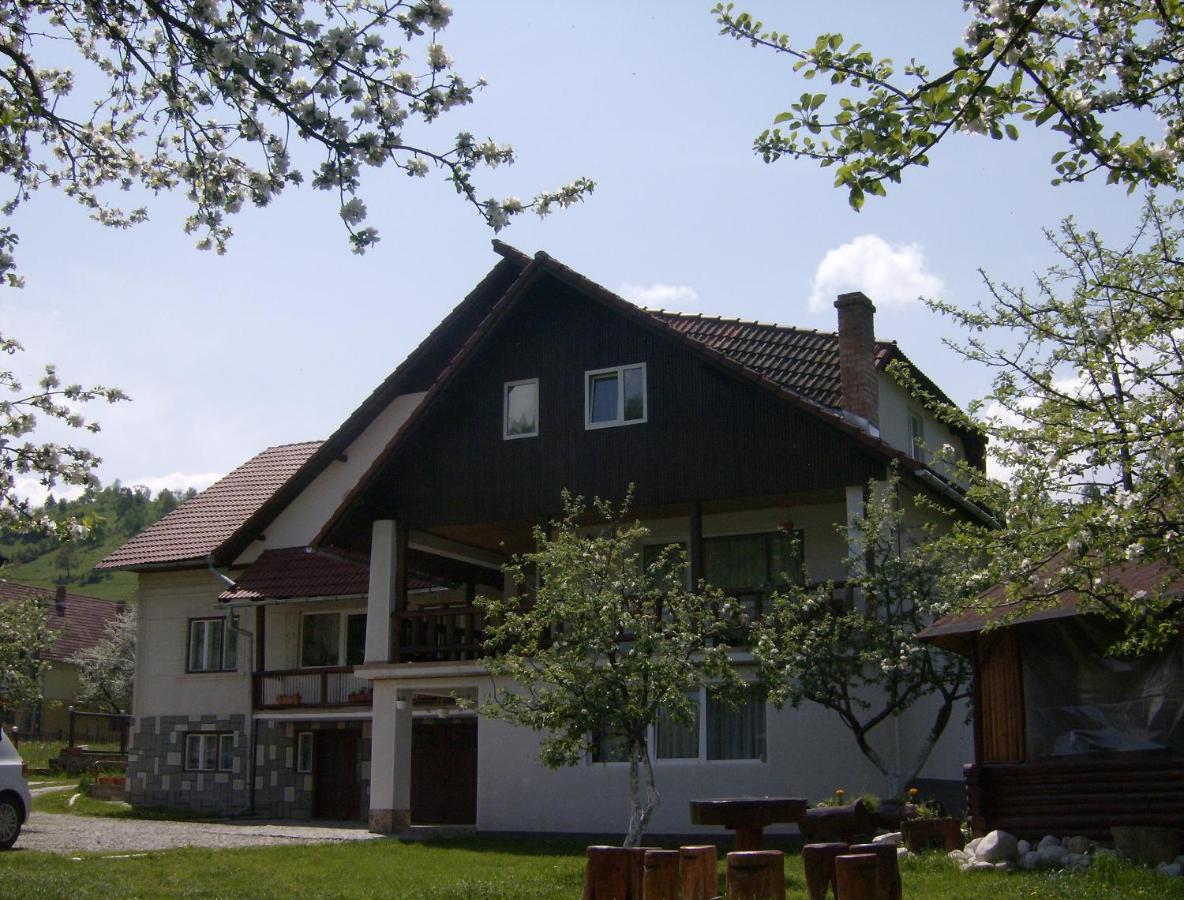 Pensiunea Luminita - Chambres d’hôtes