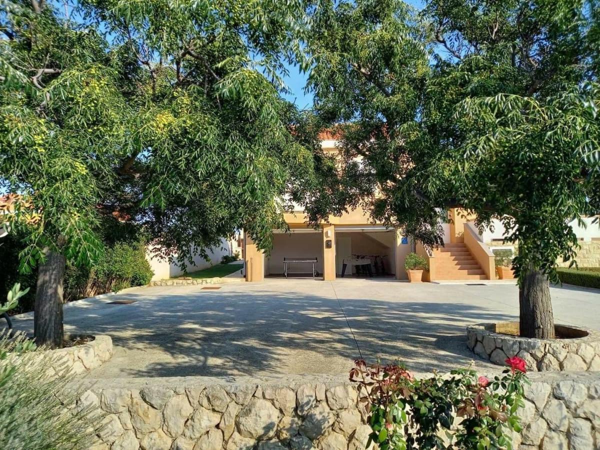 Maslina - Ferienwohnung Vrsi