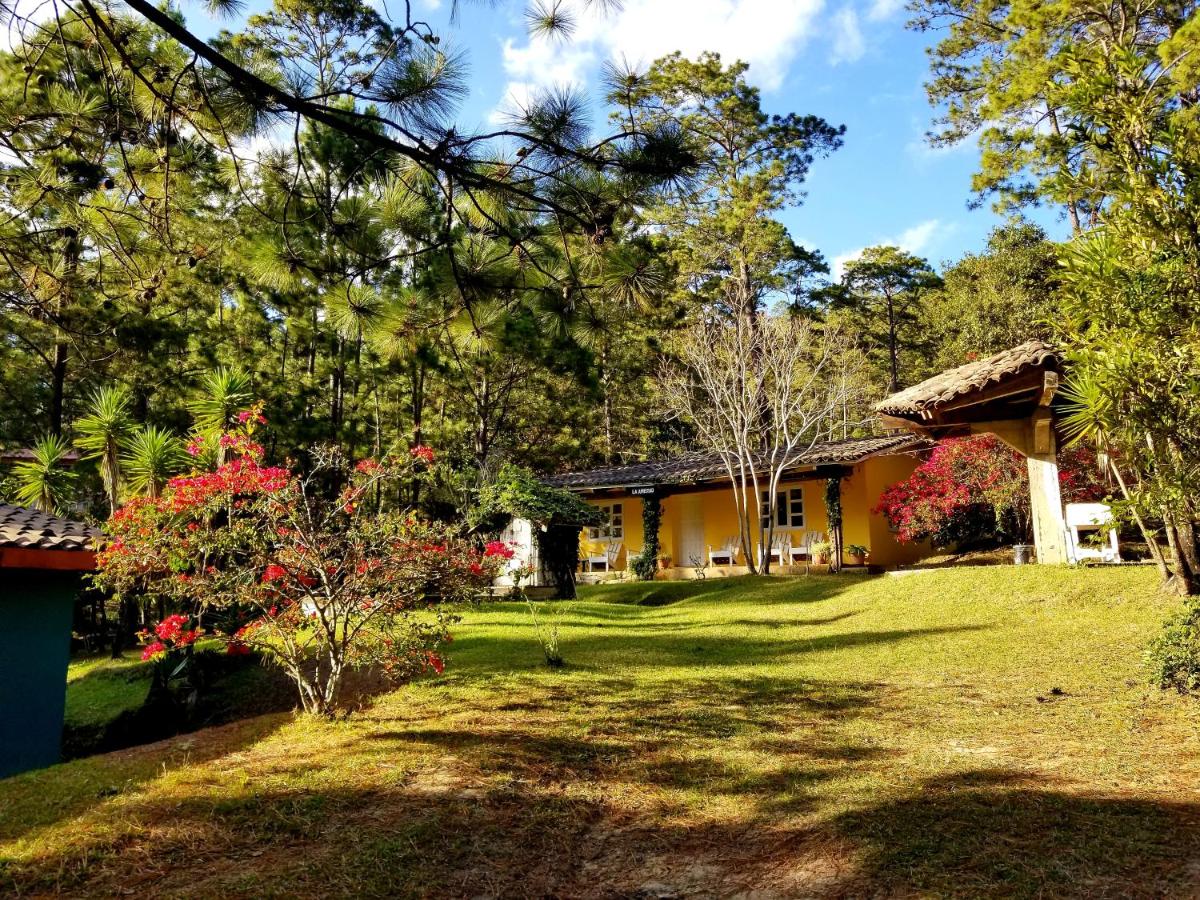 B&B Intibucá - Cabañas Bosque llano de la Virgen - Bed and Breakfast Intibucá