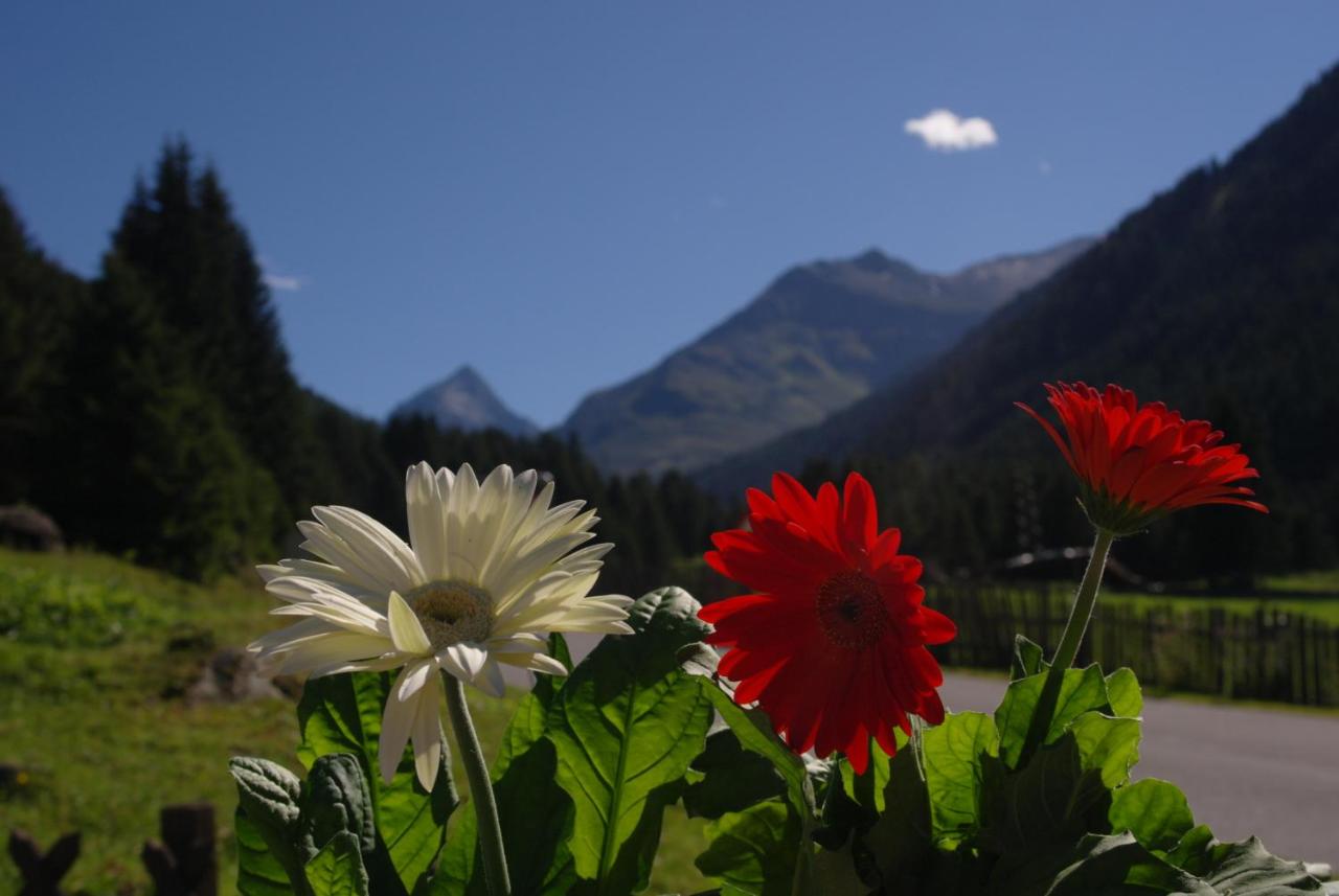 Apartment Fernerkogel - B&B Gries im Sellrain