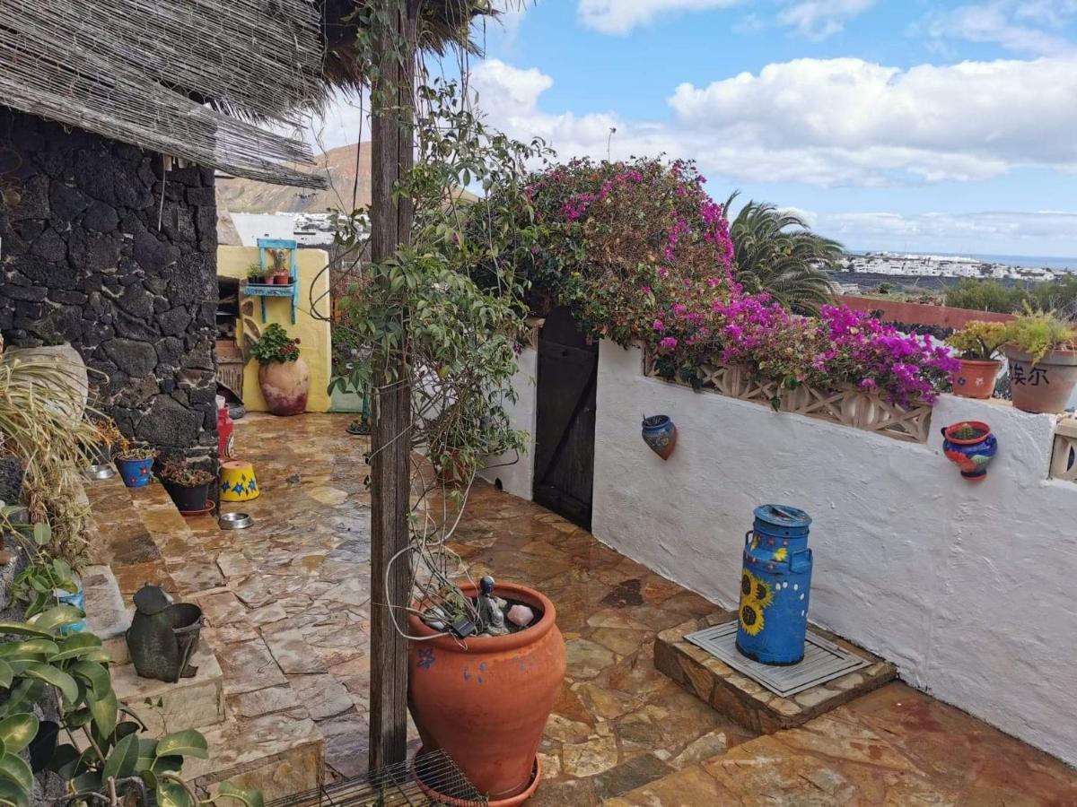 Casa De Gato Rustic Finca - Chambres d’hôtes