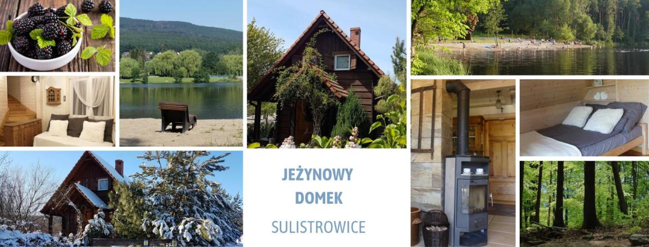 Jeżynowy Domek - Sulistrowice - Ferienwohnung