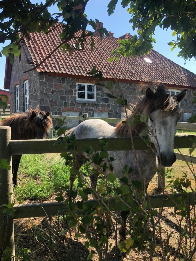 B&B Rødby - Stenhuset - Country House - Bed and Breakfast Rødby