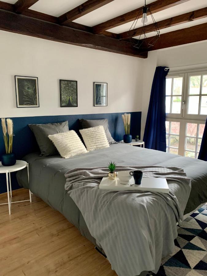 B&B Saumur - Appartement les Bleuets - Centre ville de Saumur - Bed and Breakfast Saumur