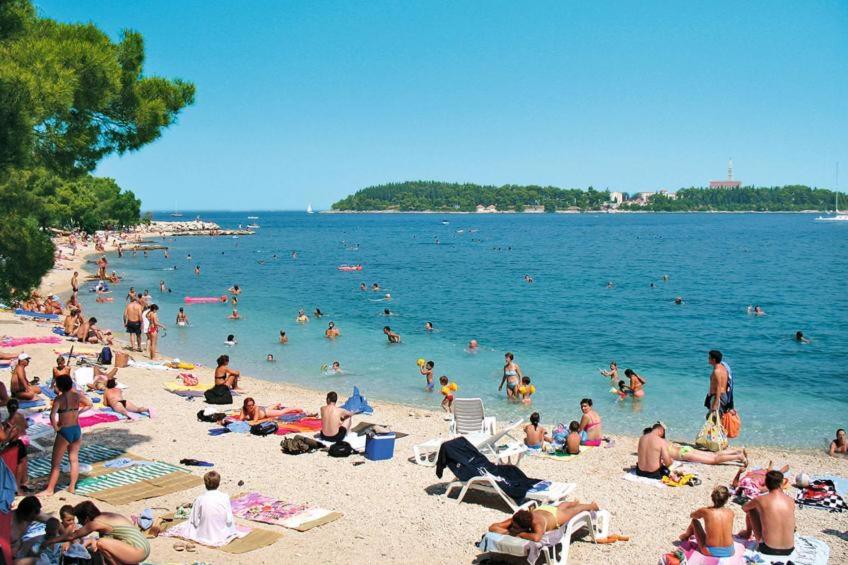 Apartment mit 2 Schlafzimmern