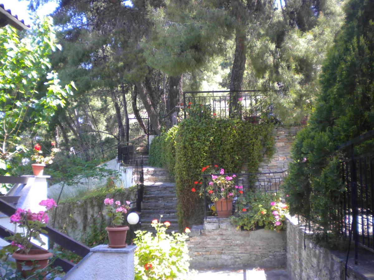 Apartment with Garden View