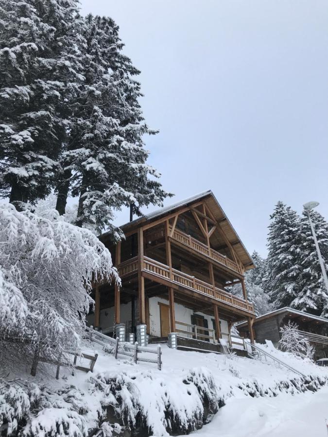 LE SAPORTA- Studios et Appartements meublés de tourisme - Chambres d’hôtes Le Lioran
