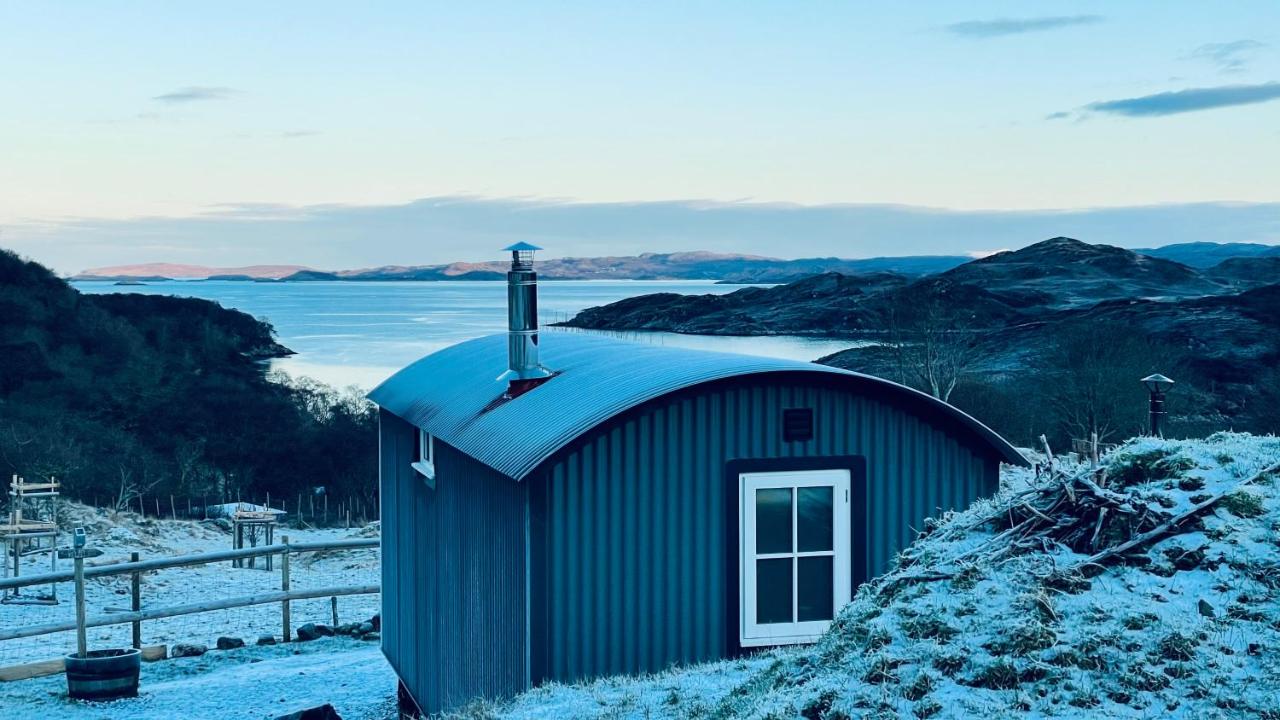 King Room with Sea View - Rowan (Pet Friendly)