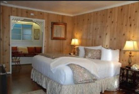 King Suite with Sofa Bed