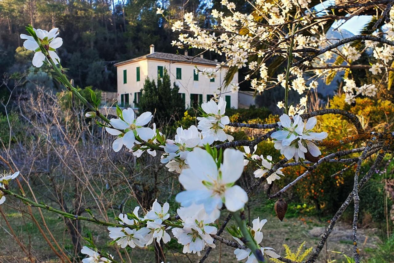 Agroturisme Finca Sa Maniga - Chambres d’hôtes