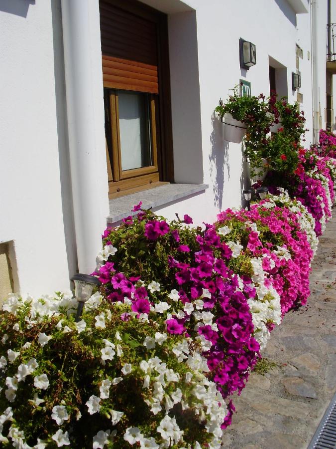 Habitación Doble - 1 o 2 camas