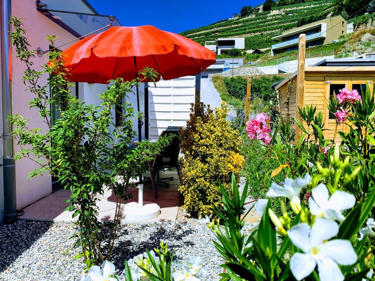 Estudio con terraza y vistas a la montaña