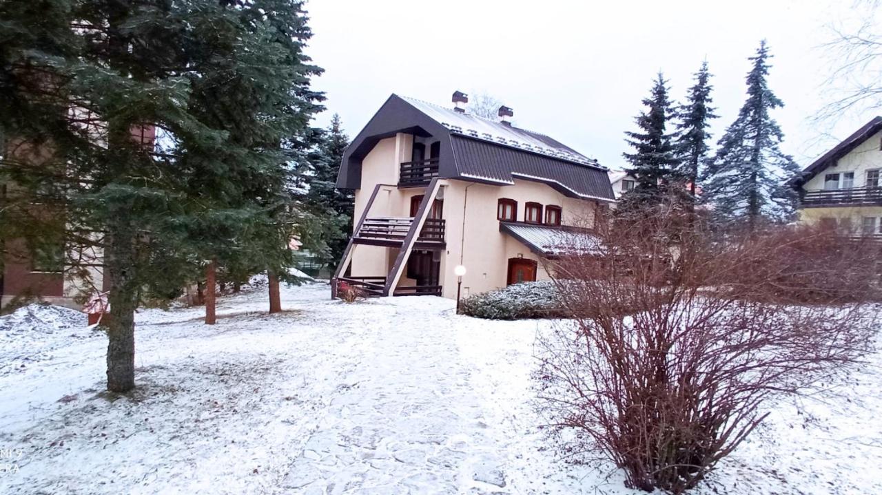 Konačište Zlatibor - B&B