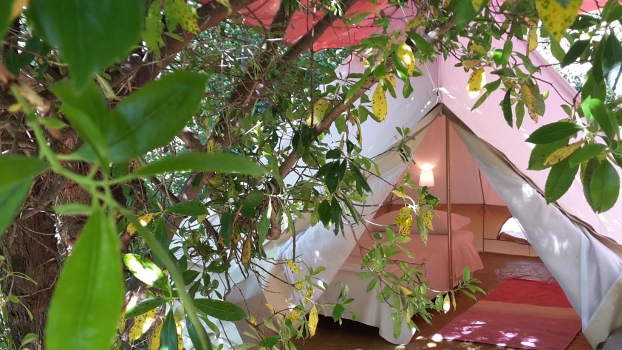 Tienda
