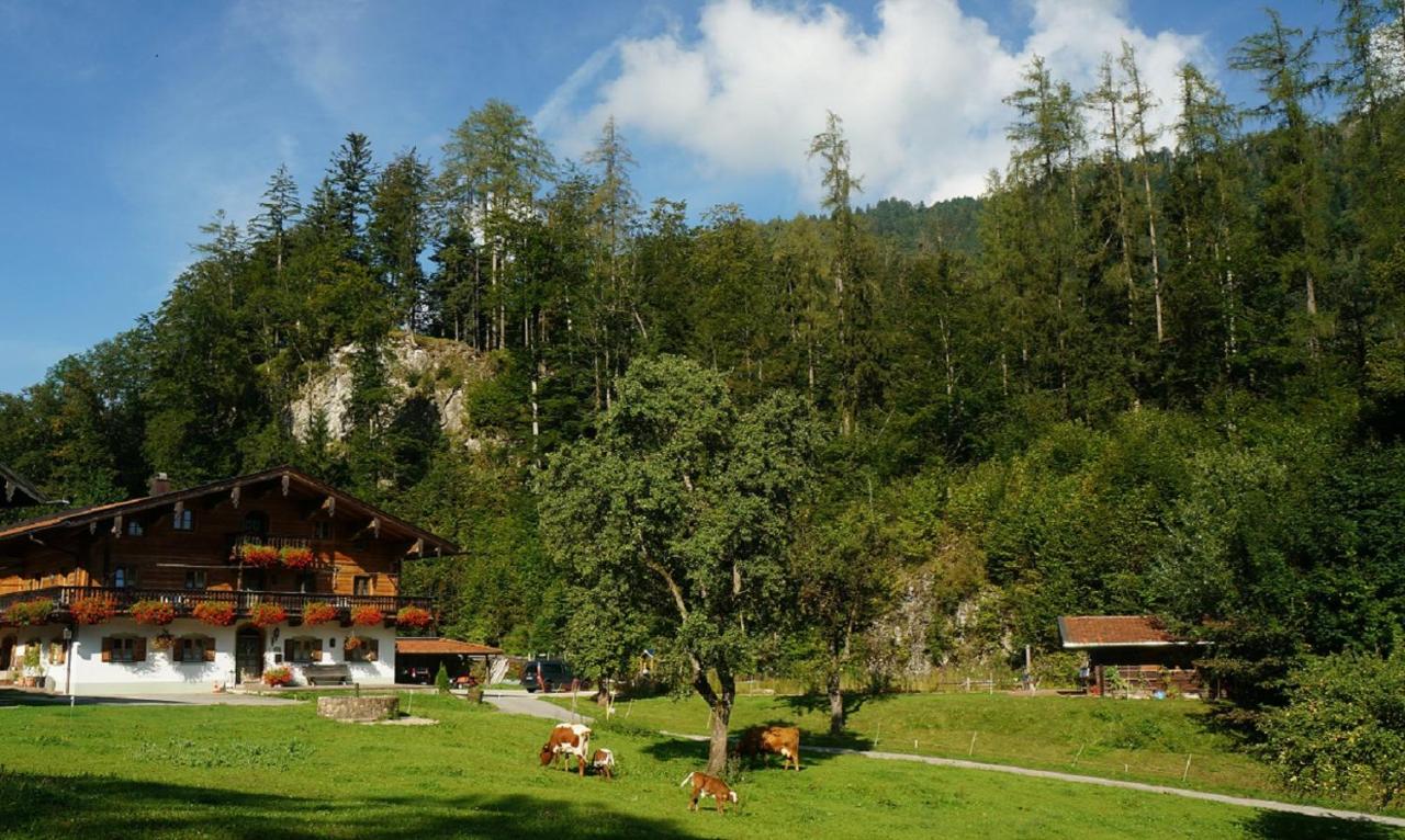 Sulzenhof inkl. Chiemgaukarte - Ferienwohnung Ruhpolding