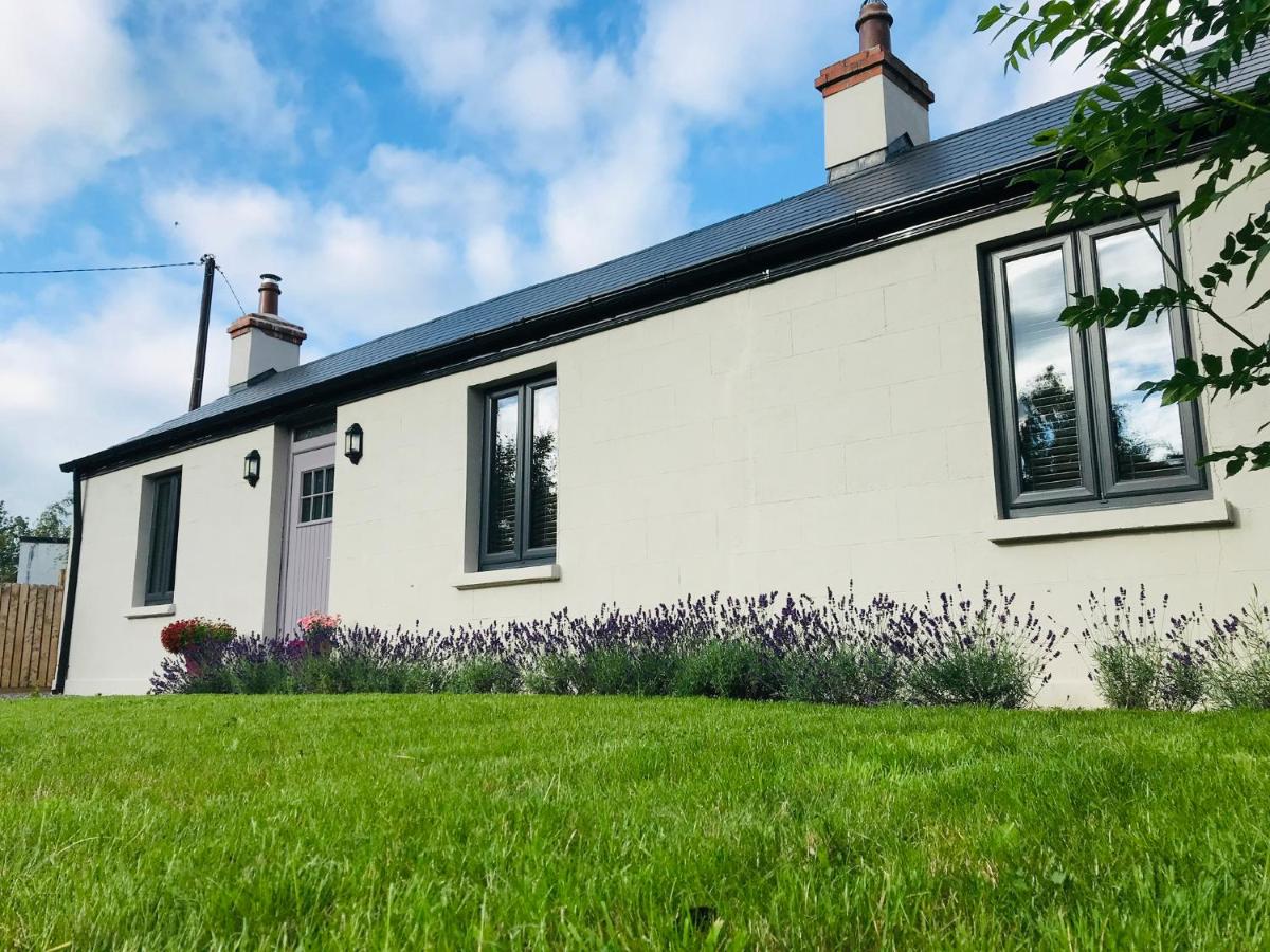 B&B Droichead Nua - Lavender Cottage - 2 Bedroom Home - Bed and Breakfast Droichead Nua