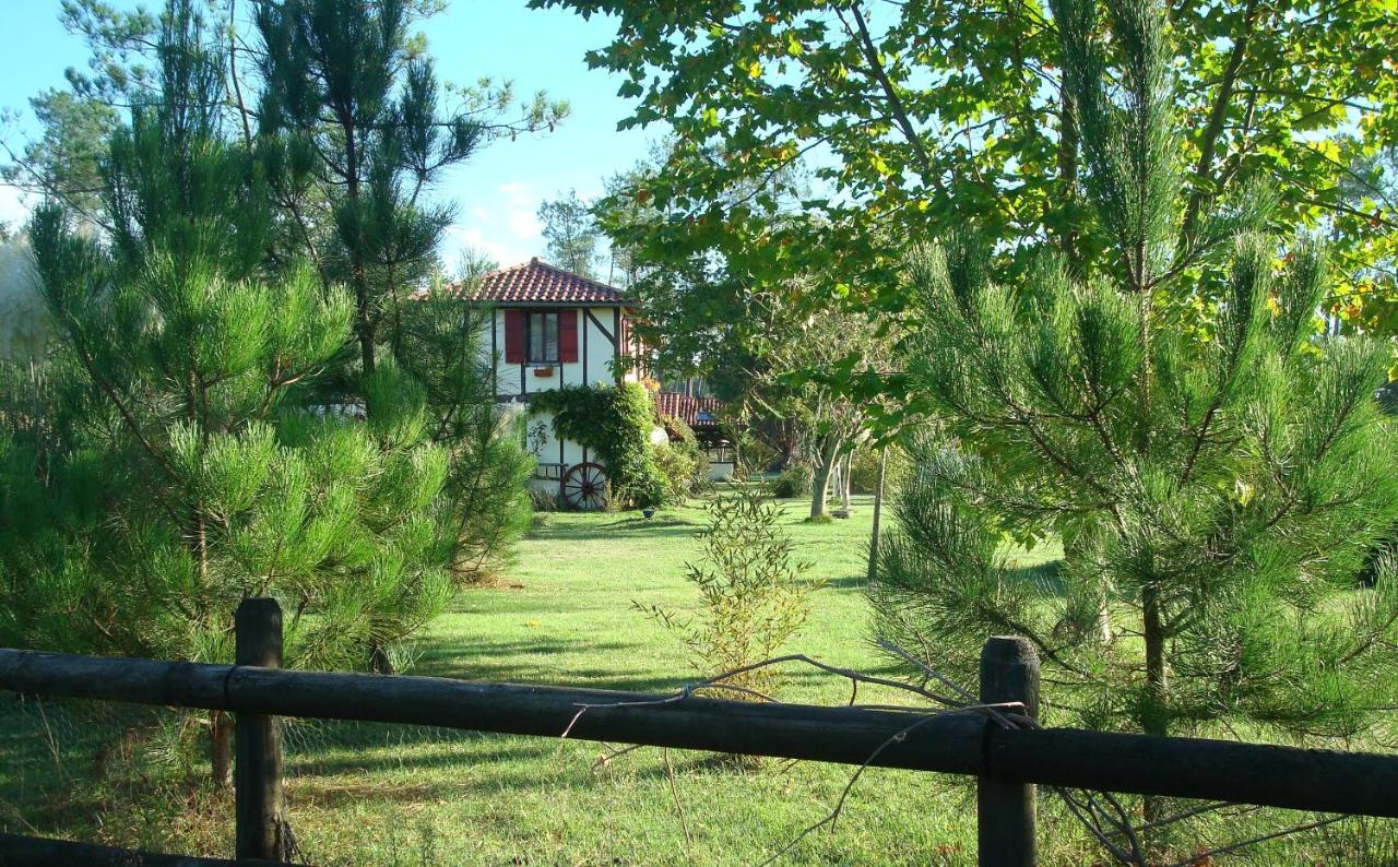 LE GAHOUN - La Cosy - Ferienwohnung Castets