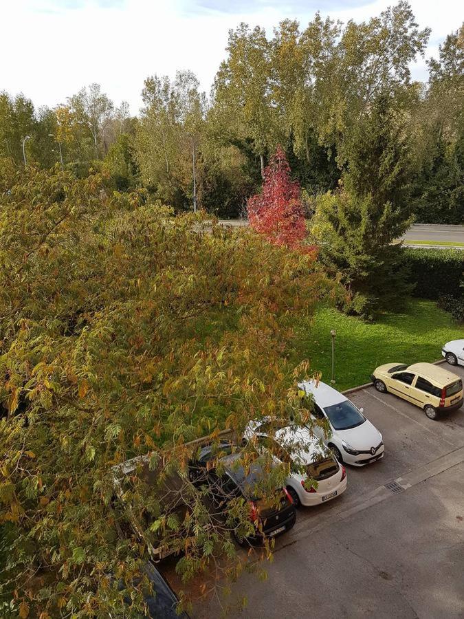 Cisanello Pisa Apartment - B&B Pisa