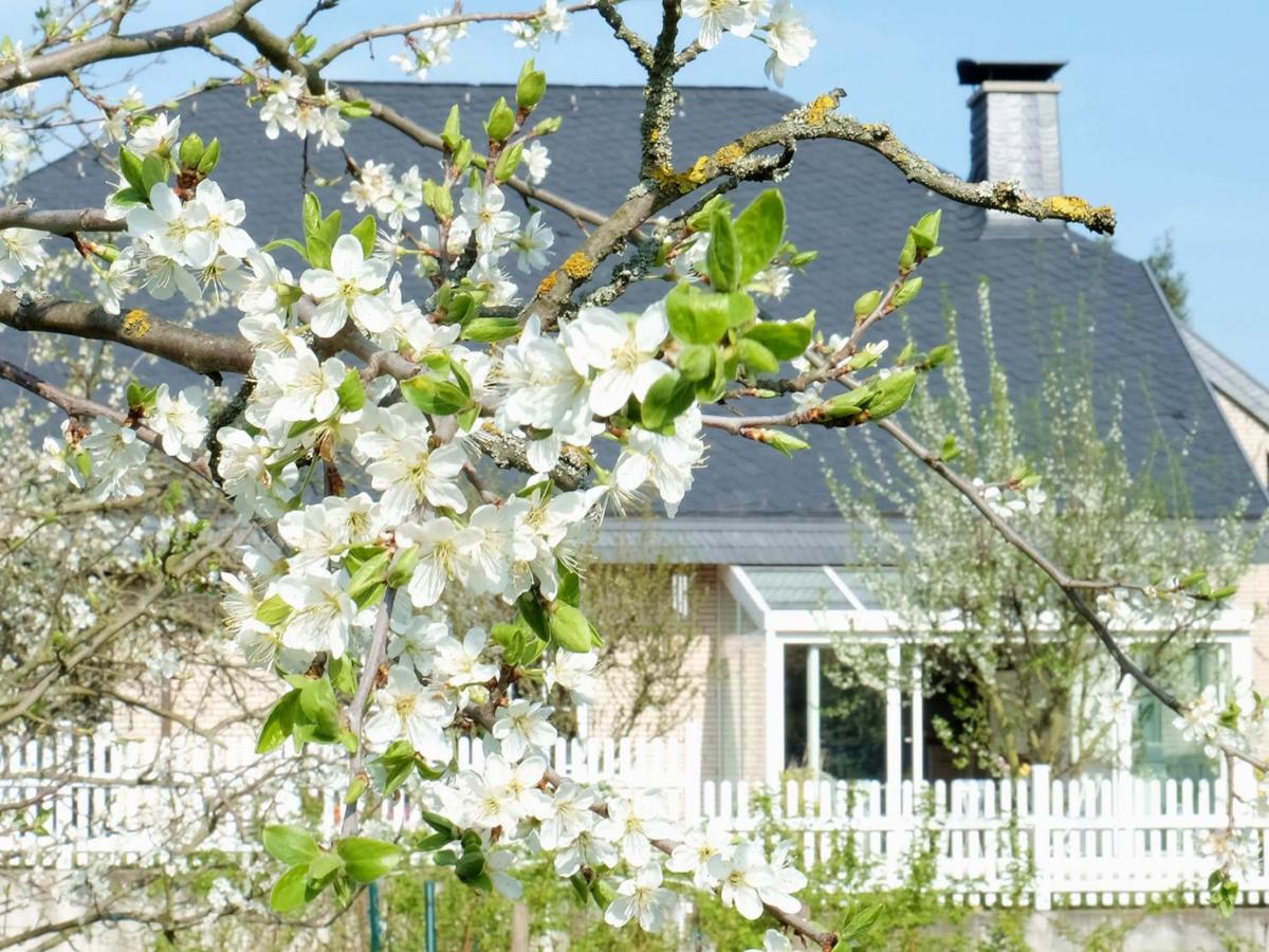 VILLA ORCHARD Frankfurt - B&B