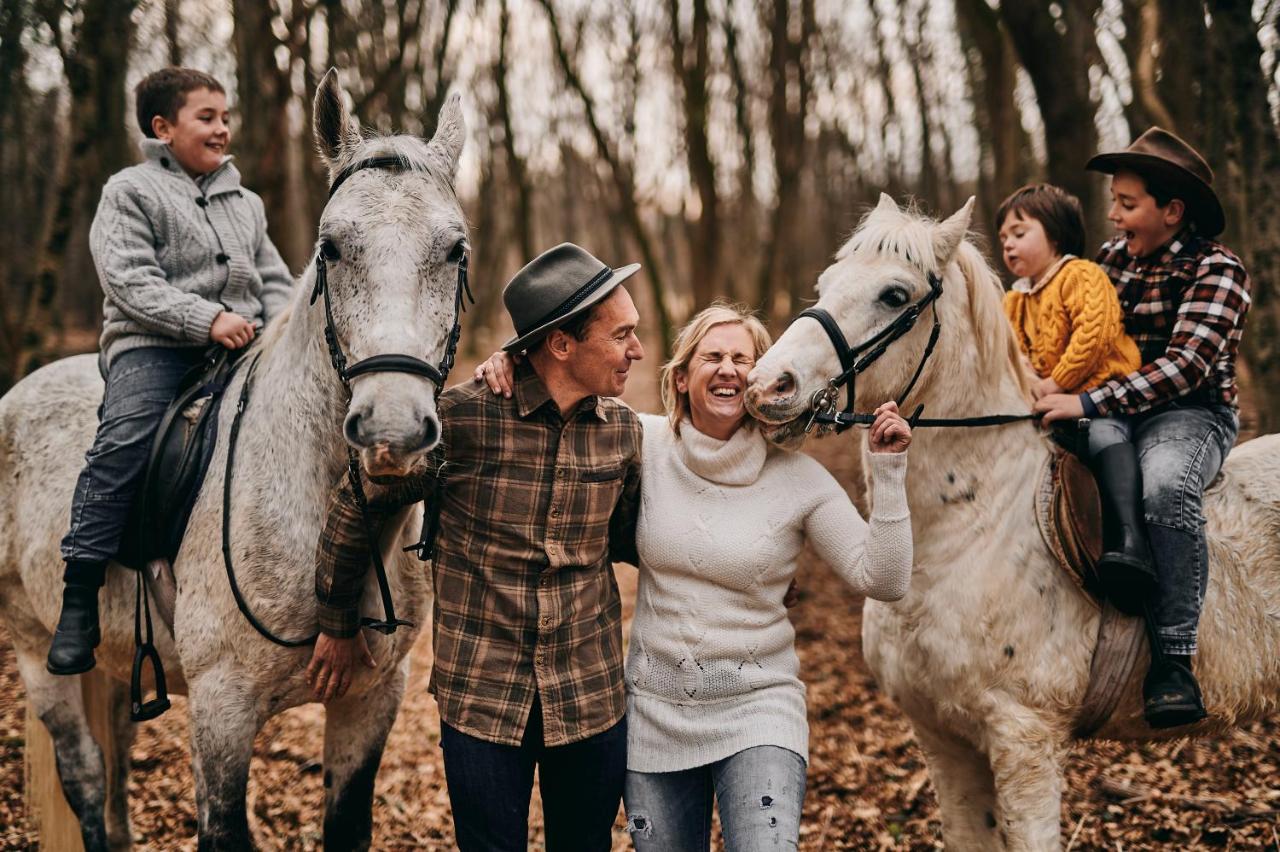 B&B Sežana - Tmbin's barn - nature, horses, family - Bed and Breakfast Sežana