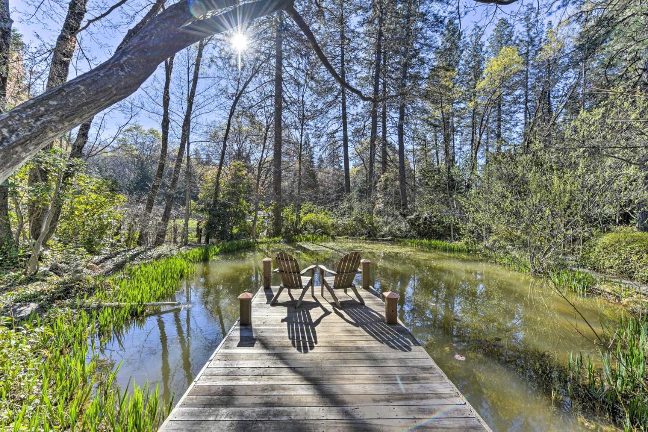 Peaceful Cottage with Grill and Yard in Grass Valley! - B&B