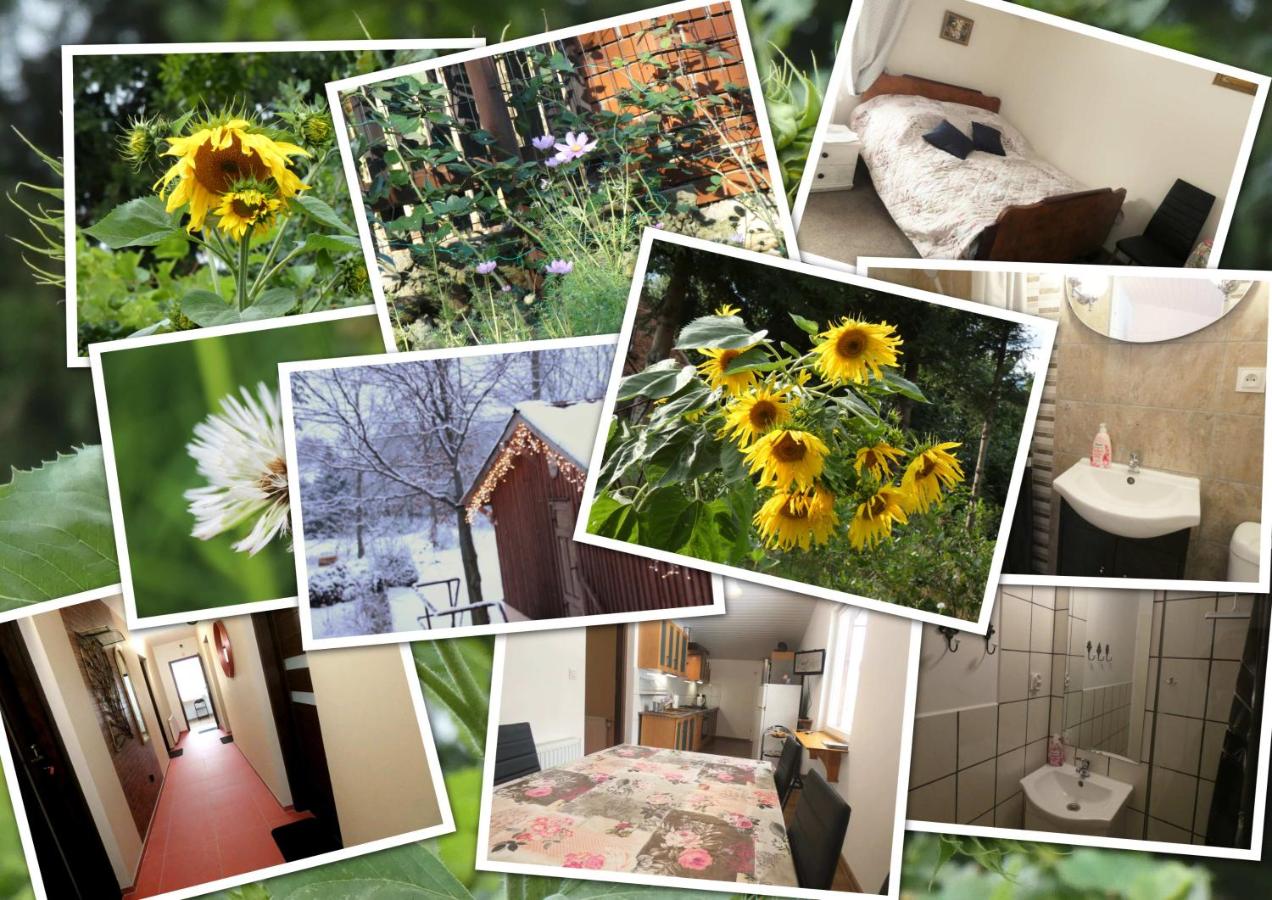 Pokój Pod Kluczem - Ferienwohnung