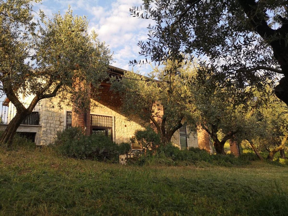 B&B Verona - Agriturismo Bosco Magico - Bed and Breakfast Verona