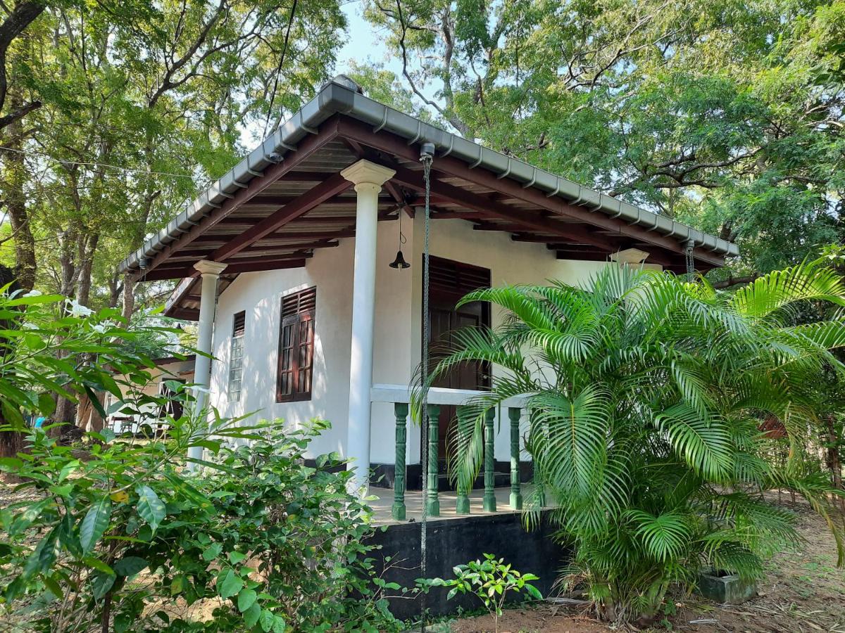 Katagamuwa Rest - B&B