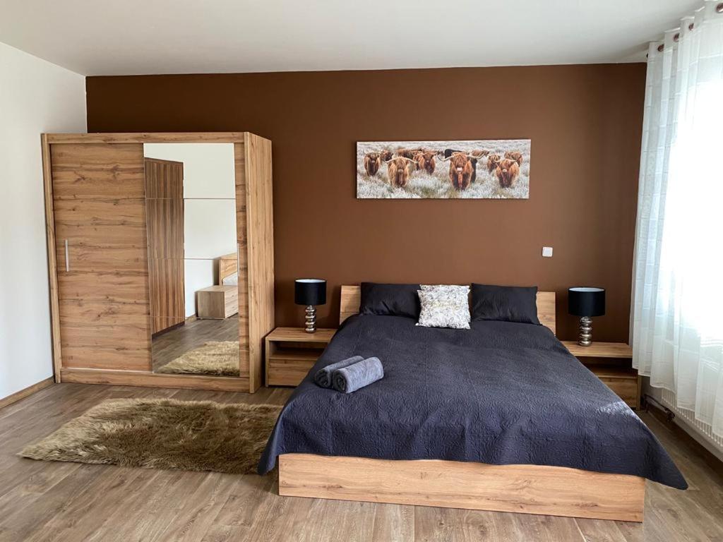 Černý Tulipán - Apartmán 3 - B&B Pilsen