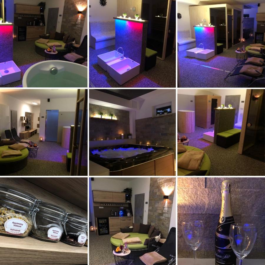 Apartment WELLNESS Vlčková - B&B