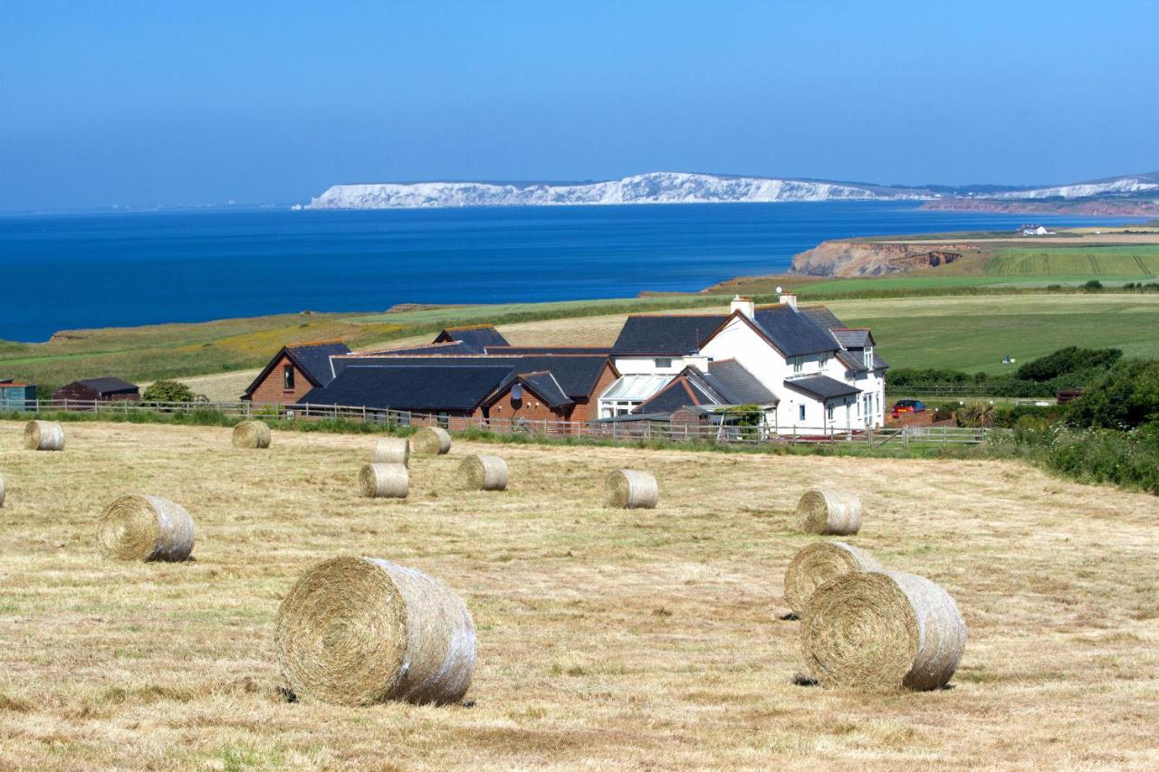 B&B Ventnor - Chale Bay Farm - Bed and Breakfast Ventnor