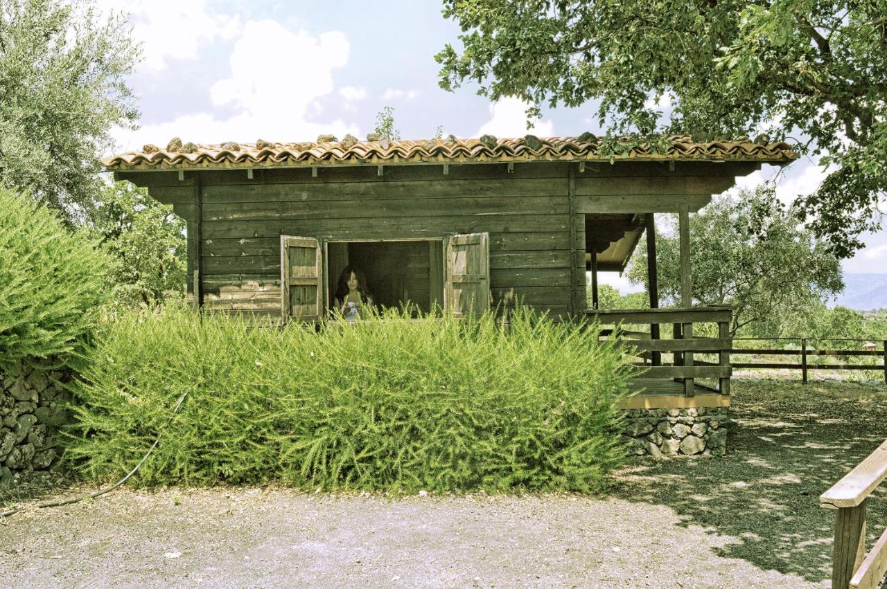 Chalet Superior