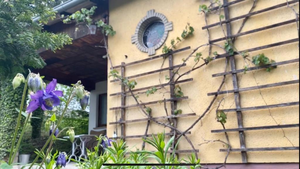 Ferienhaus Silvaner - B&B