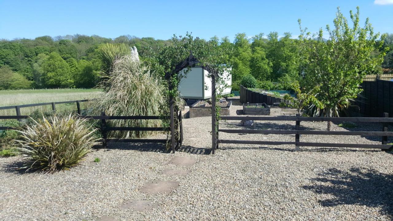 B&B Bebside - Sheepwash Shepherds Hut - Bed and Breakfast Bebside