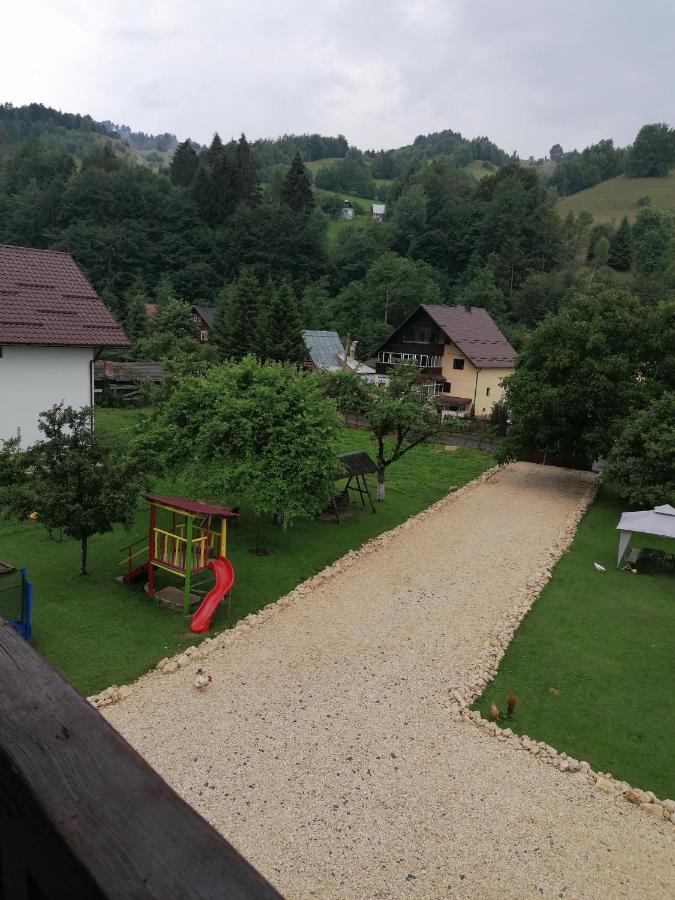 Voinescu House - Natural Living & Eating - B&B