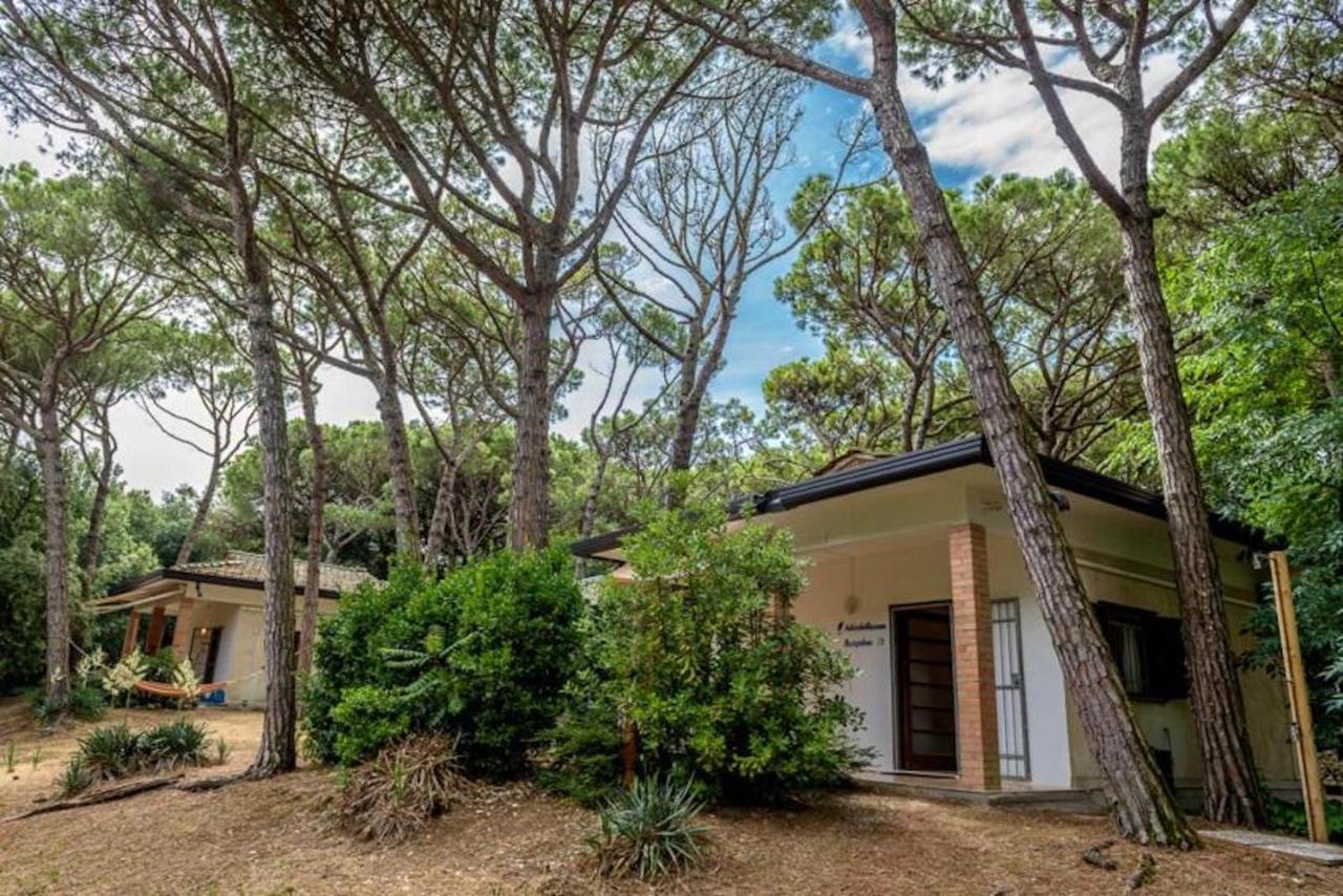 Arco Bungalow - B&B