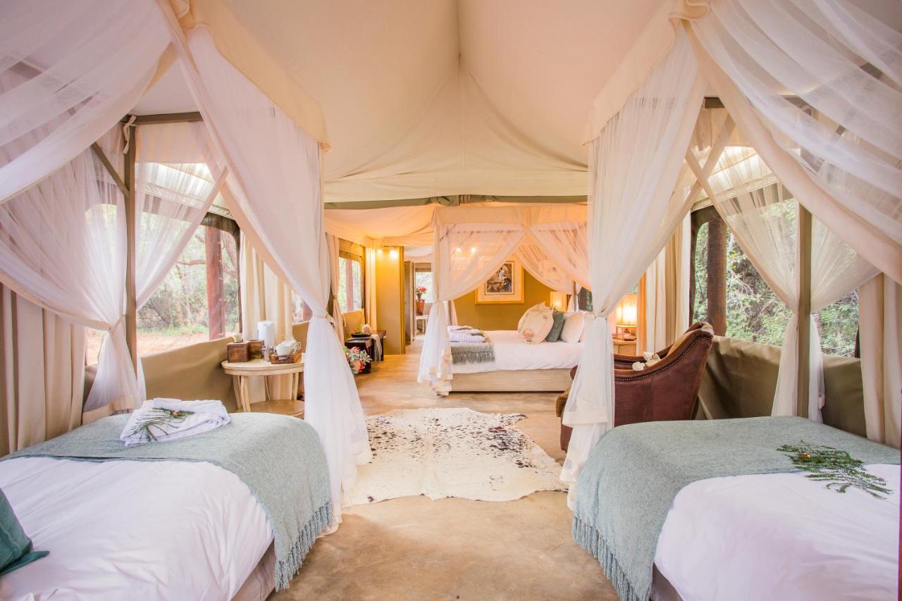 Zwartkloof Adventures Tented Camp - B&B