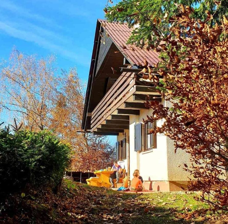 Pet & Family Friendly House Viktorija - house near Golica with Triglav view - B&B