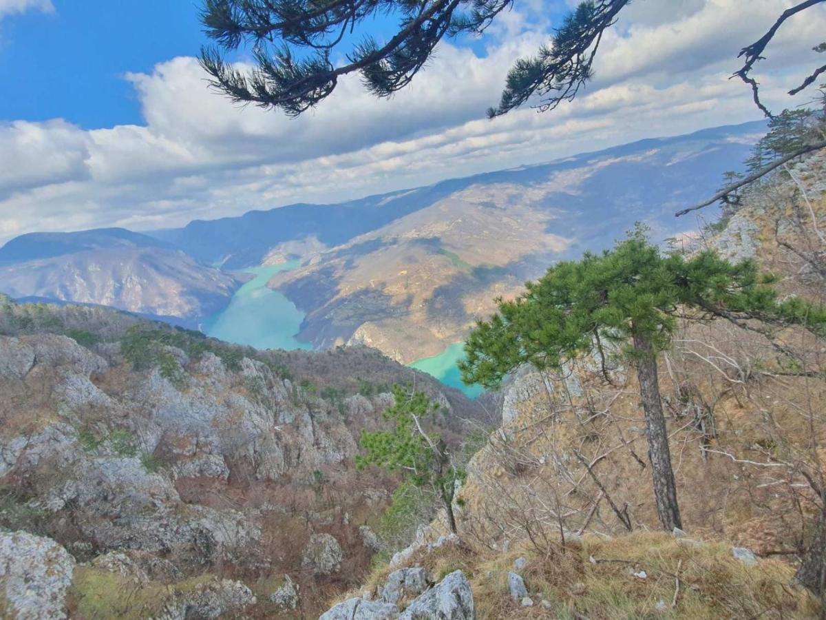 Vila Tutić Apartman 1 i Apartman 2 - Bed and Breakfast Mitrovac