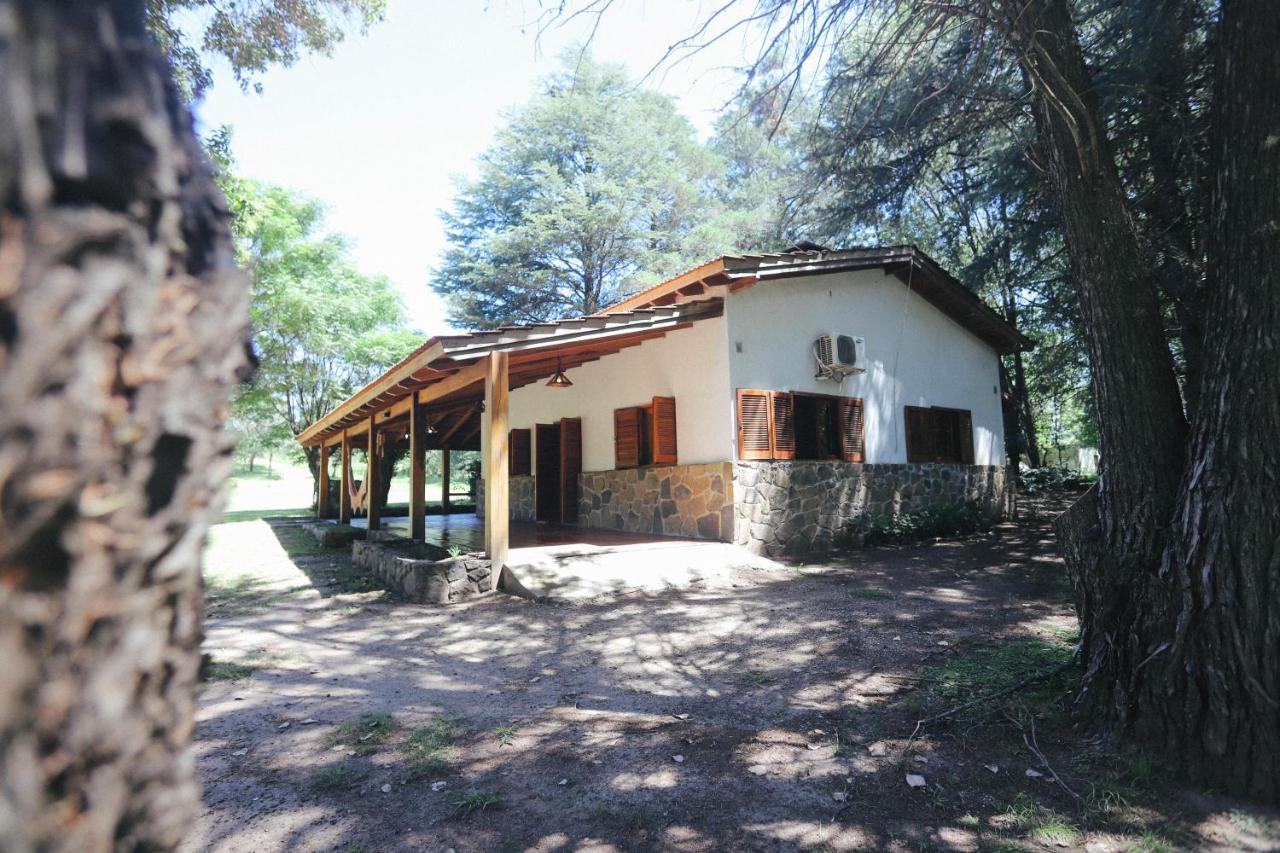 Cabaña Modestita PuDuam Vineyard - B&B