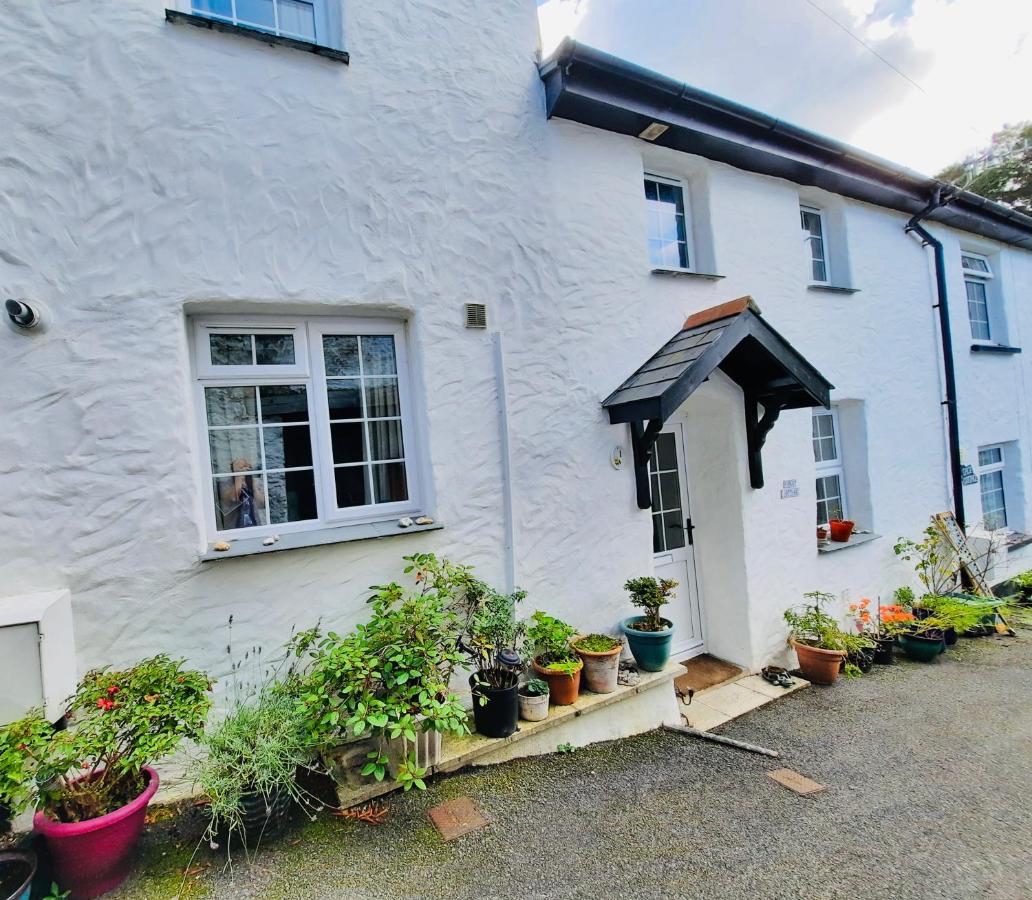 B&B Combe Martin - New for 2021 Welcome to Violet Cottage - Bed and Breakfast Combe Martin