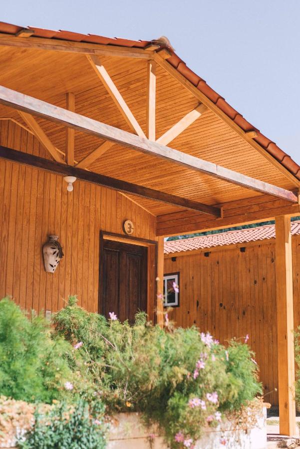 Chambre Double ou Lits Jumeaux avec Terrasse